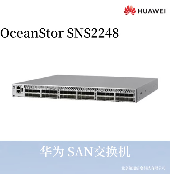 华为  OceanStor SNS2248
